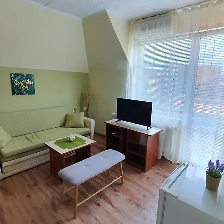 公寓 Penthouse Vasiliko In *