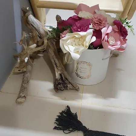 Penthouse Vasiliko In * 茨雷沃
